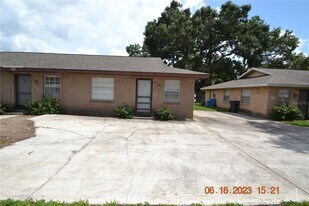 409 Big Cedar Way in Brandon, FL - Building Photo