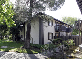 Courtwood Apartments in Woodland, CA - Building Photo