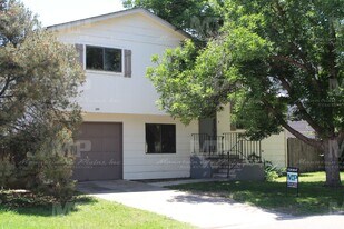 2611 Cherly St in Fort Collins, CO - Building Photo