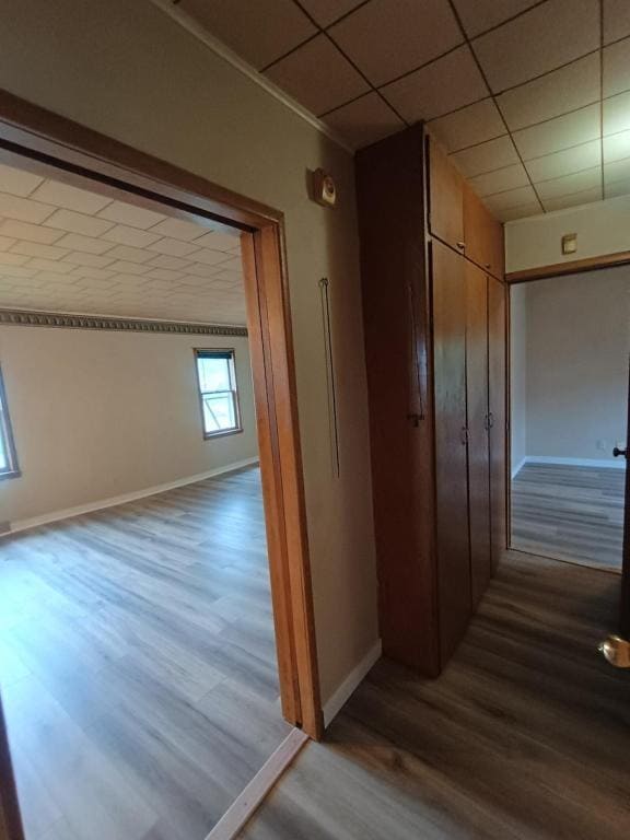 property at 846 E Maple St