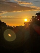 79-7199-7199 Mamalahoa Hwy in Holualoa, HI - Building Photo - Building Photo