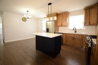 903 Porter St in Lemont, IL - Building Photo - Building Photo