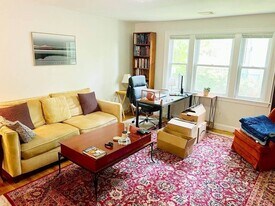 217 Bellevue St in Newton, MA - Building Photo