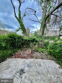 3815 Olive St photo'