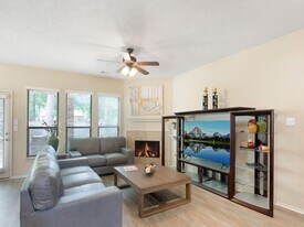 10 W Lasting Spring Cir in Spring, TX - Building Photo