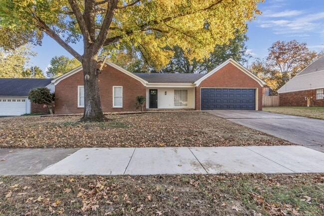 8439 River Glen Dr in Germantown, TN - Building Photo - Building Photo