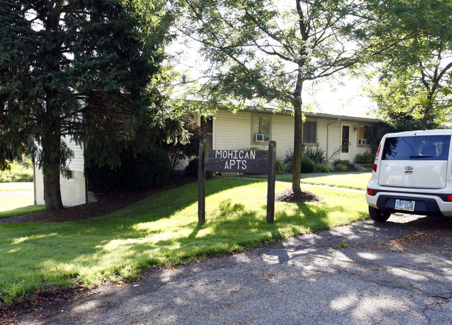 The Mohican Apartments in Akron, OH - Building Photo - Building Photo