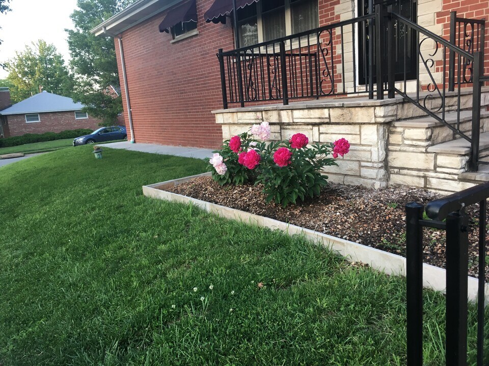 3700 January Ave in St. Louis, MO - Building Photo