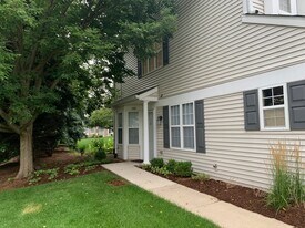 2611 Cedar Glade Dr in Naperville, IL - Building Photo