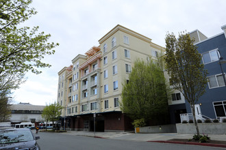 Library Square in Bellevue, WA - Building Photo - Building Photo