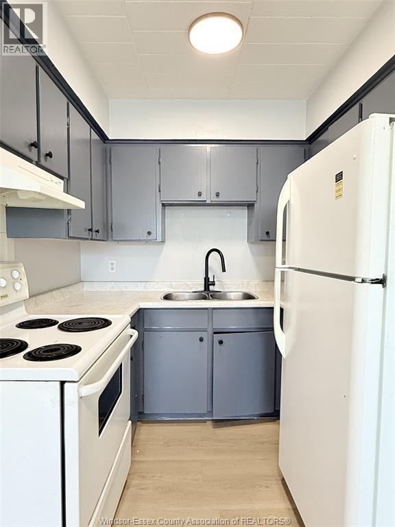 591 Wellington Ave in Windsor, ON - Foto de edificio - Building Photo