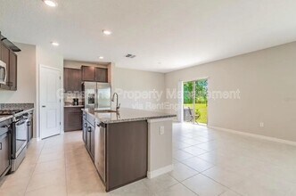 5157 White Chicory Dr in Ruskin, FL - Building Photo - Building Photo