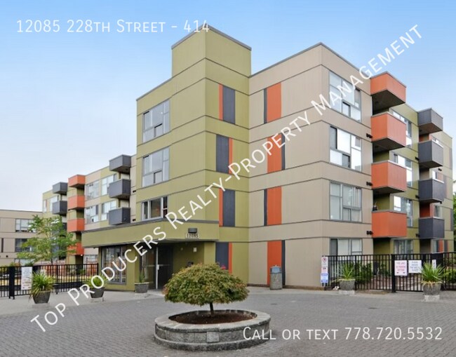 12085 228 St in Maple Ridge, BC - Building Photo - Building Photo