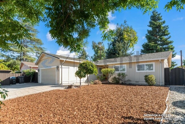 869 San Lucas Ave in Mountain View, CA - Building Photo - Building Photo