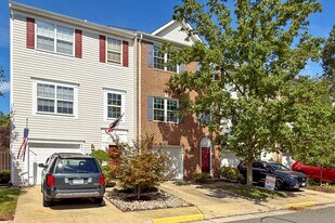 239 Golden Larch Ter NE in Leesburg, VA - Building Photo