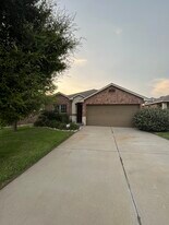 1428 Biscuit Dr in Austin, TX - Building Photo