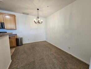 431 Black Feather Loop, Unit 807 in Castle Rock, CO - Building Photo - Building Photo