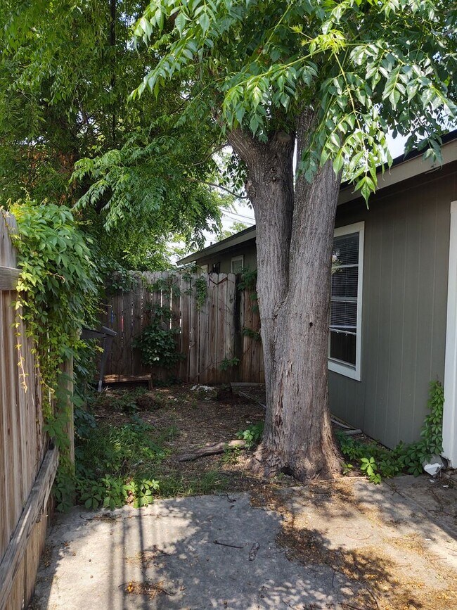 624 Mill St in San Marcos, TX - Building Photo - Building Photo