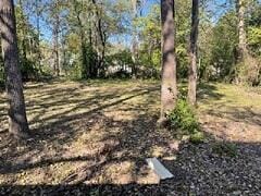 401 W Worley St in Columbia, MO - Building Photo - Building Photo