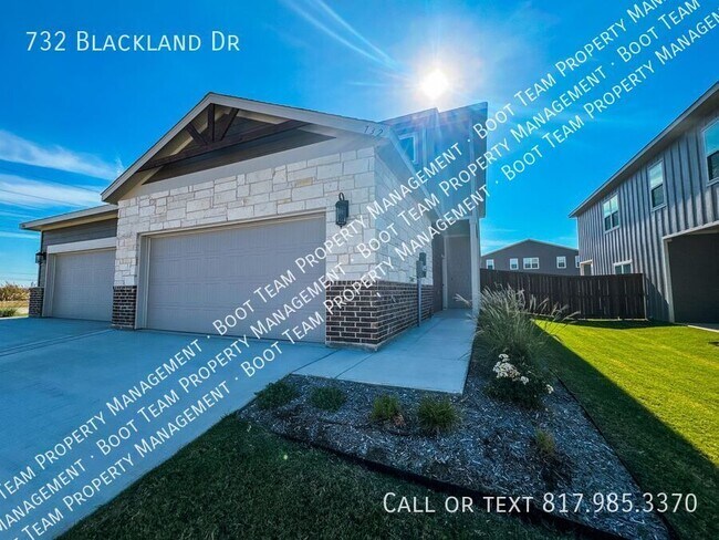 732 Blackland dr in Venus, TX - Building Photo - Building Photo