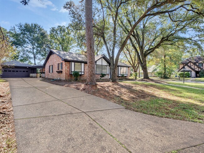 3202 Lakehaven Dr in Houston, TX - Foto de edificio - Building Photo