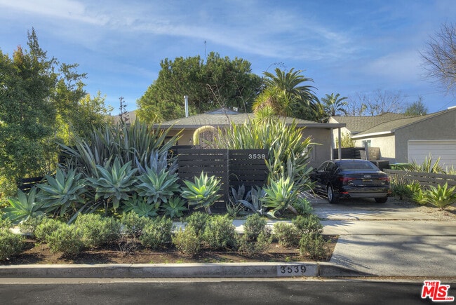 3539 Greenwood Ave in Los Angeles, CA - Building Photo - Building Photo