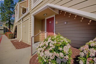 235 Reflections Dr in San Ramon, CA - Building Photo - Building Photo