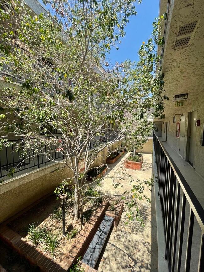 3709 Watseka Ave, Unit 309 in Los Angeles, CA - Building Photo - Building Photo