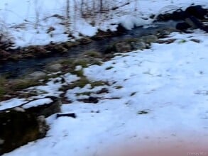 13 Herlings Rd in Wurtsboro, NY - Building Photo - Building Photo