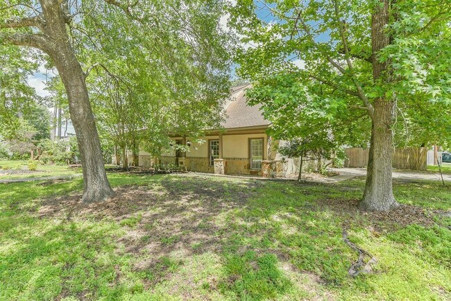 28902 Twisted Oak Dr in Shenandoah, TX - Building Photo - Building Photo