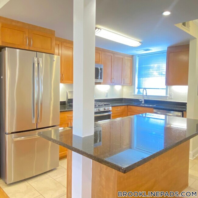 535 VFW Parkway in Chestnut Hill, MA - Building Photo - Building Photo