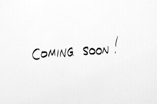 4583 Sean St in Eugene, OR - Building Photo