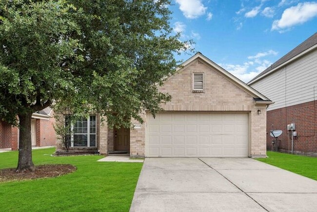 property at 29319 Alba Rose Dr