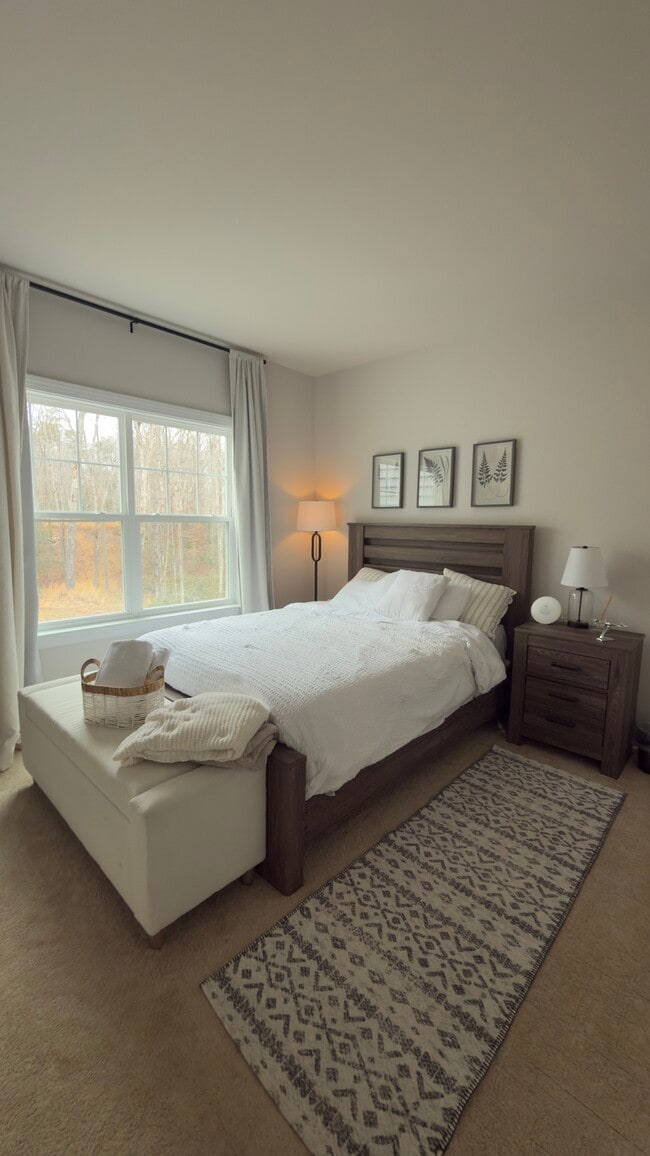 8518 Laroque Run Dr in Fredericksburg, VA - Building Photo - Building Photo