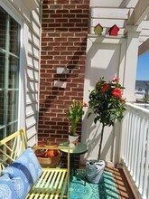 6267 Aster Haven Cir in Haymarket, VA - Building Photo - Building Photo