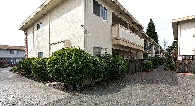 El Prado Apartments in Santa Rosa, CA - Foto de edificio - Building Photo