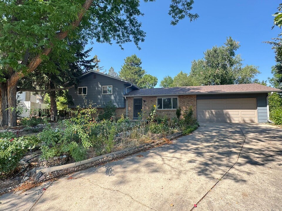 716 Oxford Ln in Fort Collins, CO - Building Photo