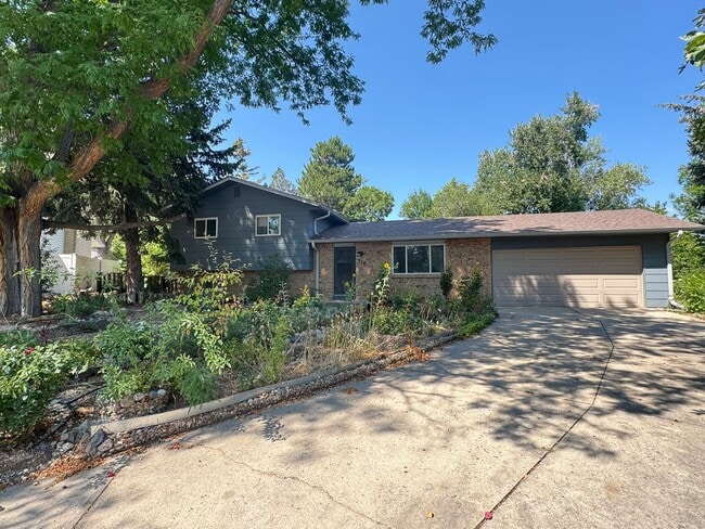 716 Oxford Ln