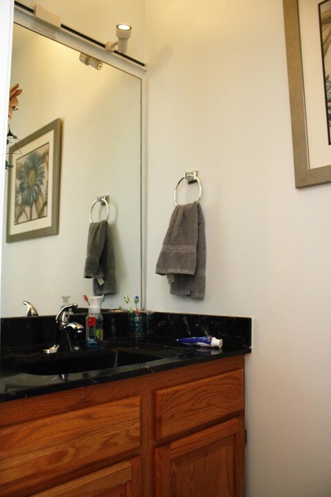4219 Harrington Ln in Chicago, IL - Building Photo