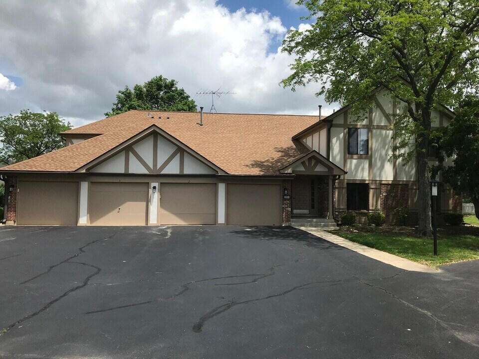 924 Surrey Dr in Schaumburg, IL - Building Photo