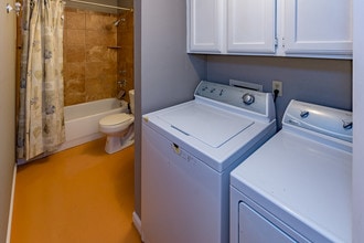 1505 Bridgeway Dr in Austin, TX - Building Photo - Building Photo