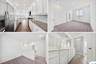 5639 Foggy Vine Ct in Fulshear, TX - Building Photo