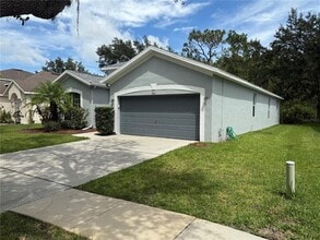 19111 Cypress Reach Ln in Tampa, FL - Building Photo - Building Photo