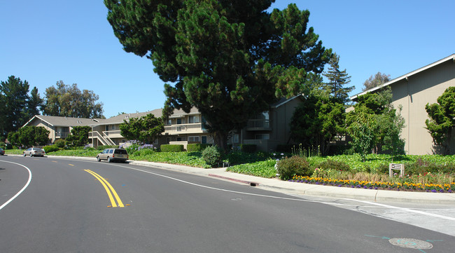 Harvard Studio Apartments in Santa Clara, CA - Building Photo - Building Photo