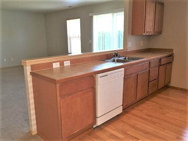 9523 187th Street East in Puyallup, WA - Building Photo - Building Photo