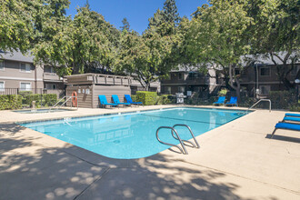 Shasta Terrace in Vacaville, CA - Building Photo - Building Photo