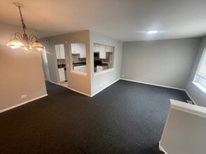 316 Fieldstone Ct in Bolingbrook, IL - Building Photo - Building Photo