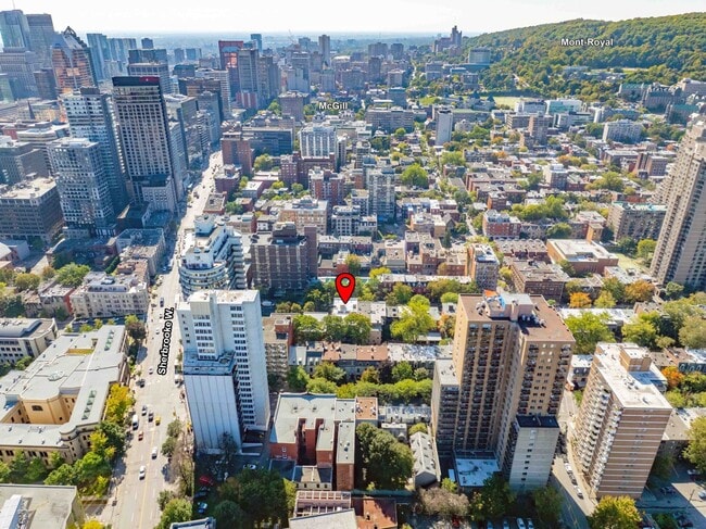 3441 Jeanne-Mance Rue in Montréal, QC - Building Photo - Building Photo