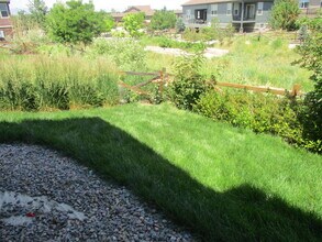 5094 W 109th Cir in Westminster, CO - Building Photo - Building Photo