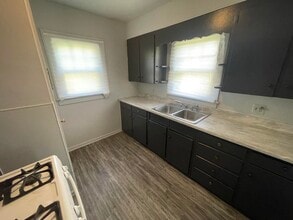 1207 Cleveland Ave in Danville, IL - Building Photo - Building Photo